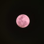 <b>Super Lune 2021 : une splendide lune rose va éclairer le ciel ce 27 avril 2021 !</b>